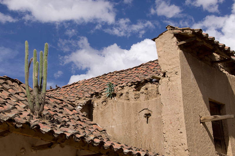 in het dorp Tarata groeien de cactussen uit de daken