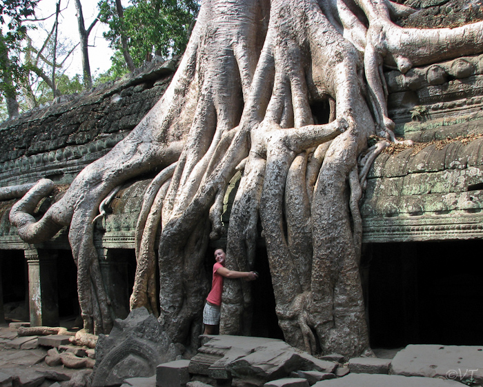 06  Angkor Wat  Ta Prom-tempel