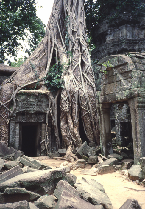 06  Angkor Wat Ta Prom-tempel