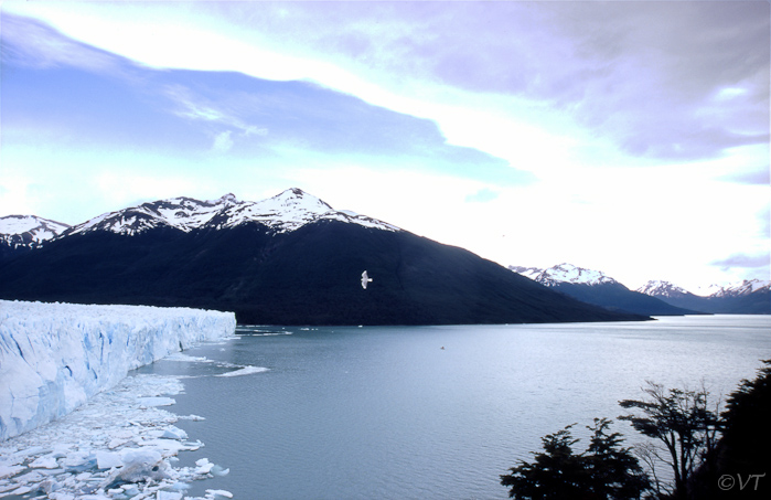 15 Perito Moreno  gletsjer bij El Calafate in Argentina, het stipje in het water is de toerboot