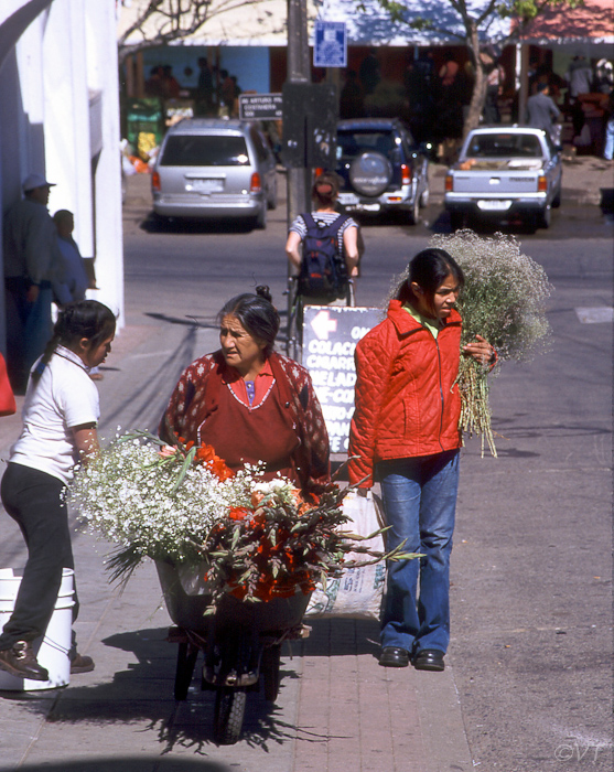 29 Valdivia bloemenkoopvrouw