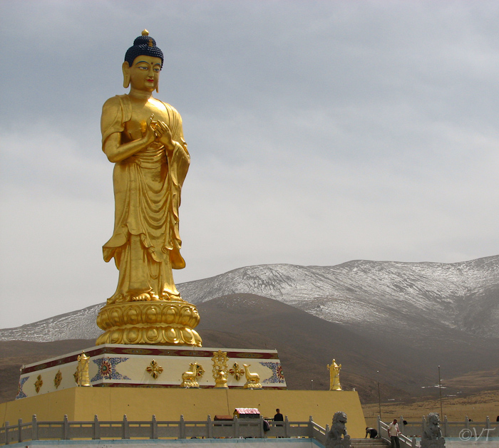 Boeddhabeeld bij het Qinghai Lake