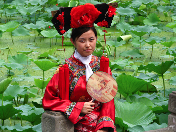 Chinese bij de waterlelies in het Zomerpaleis, Beijing