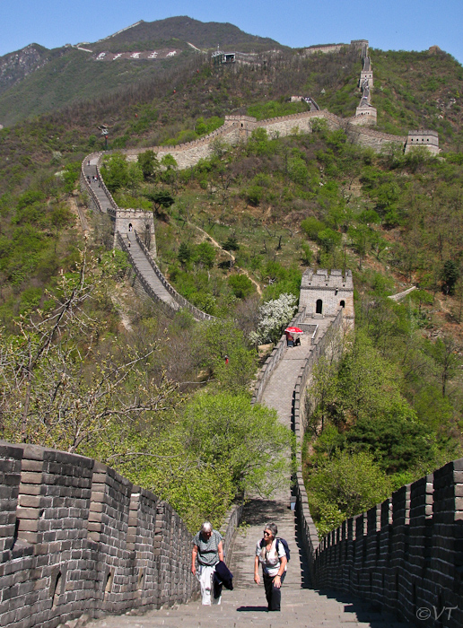 De Grote Muur bij Mutianyu ligt op 1,5 uur rijden van Beijing