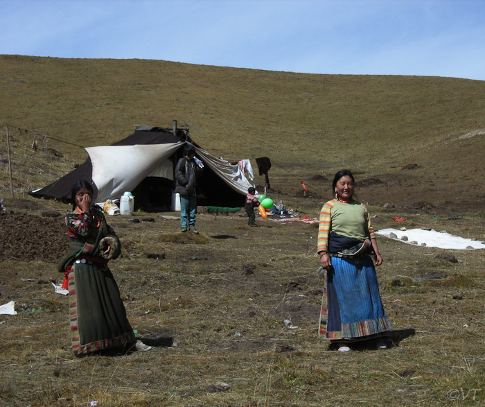 Nomaden leven hier op 3000 meter hoogte