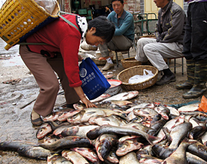 markt in Xinhou
