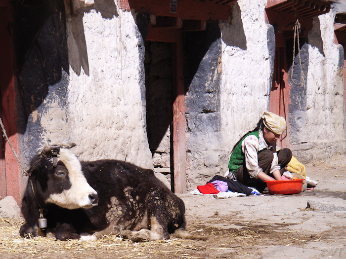 34 de Tibetaanse wijk in Gyangtse