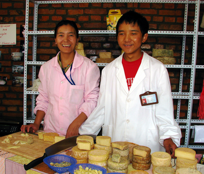 43 de 'Hollandse' kaasmakerij in Shigatse