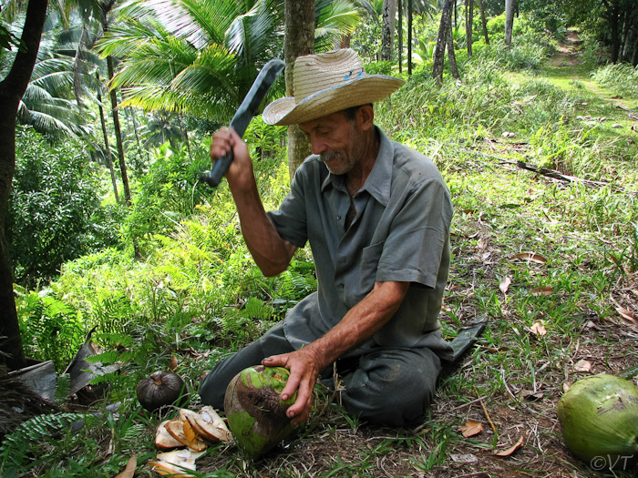 73 cocosnoot eten en drinken tijdens een bergwandeling