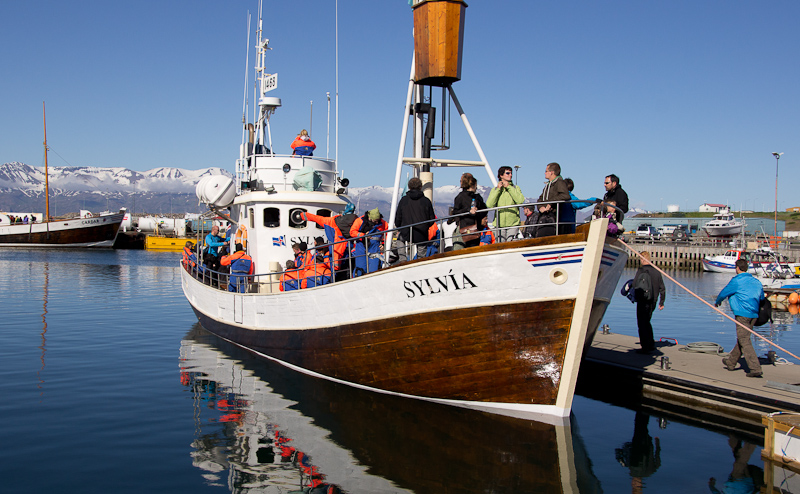 op zoek naar walvissen vanuit Húsavík