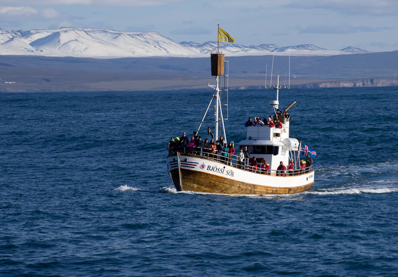 walvissen spotten vanuit Húsavík