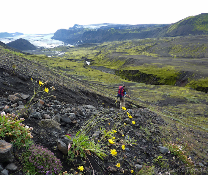 42 Linksachter ligt  de Merkurjökull-gletsjer