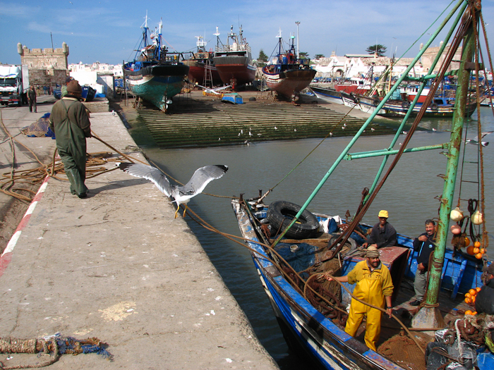 094 Vissershaven van Essaouira