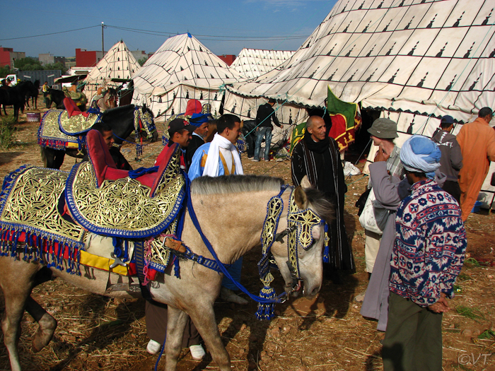 099 Bij de Grote markt van Had-Draâ was een 3-daags ruiterfestival aan de gang