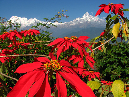 Kerstster voor het Annapurnamassief van 6993 meter hoogte