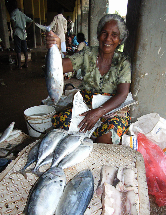 08 Negombo vismarkt
