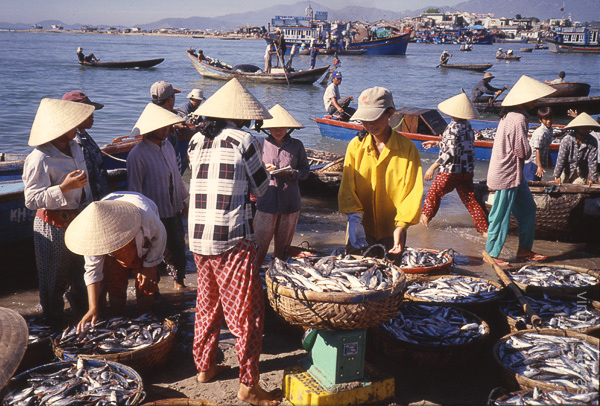 21 Nha Trang vishandel