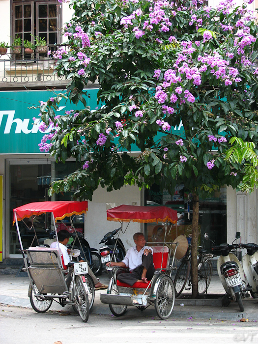 53  rustig wachten op klanten in Hanoi