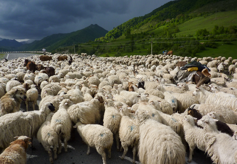 op weg naar het noorden van Georgië, naar het bergdorp Kazbegi