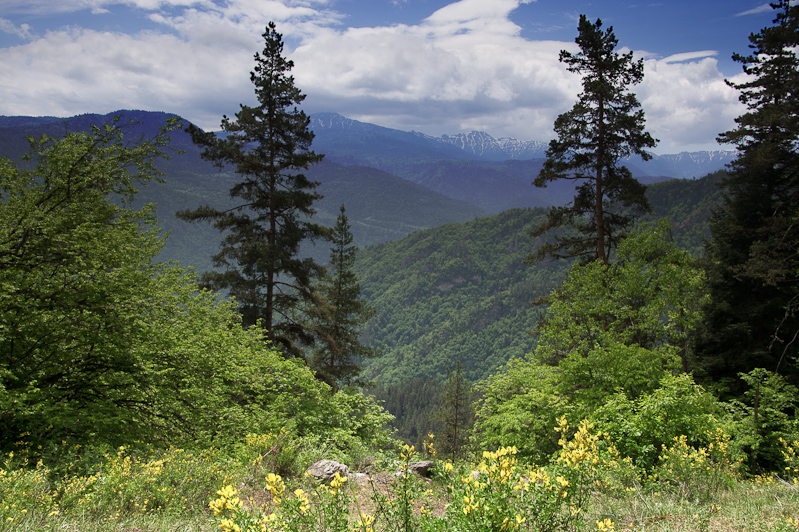 het Borjomi Nationale Park heeft toppen tot 2642 meter hoog