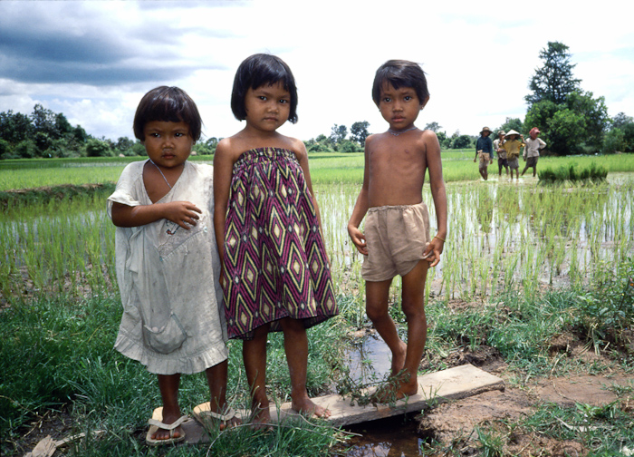 20  rijstveld bij Siem Reap