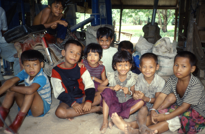 31  kids in een boerderij