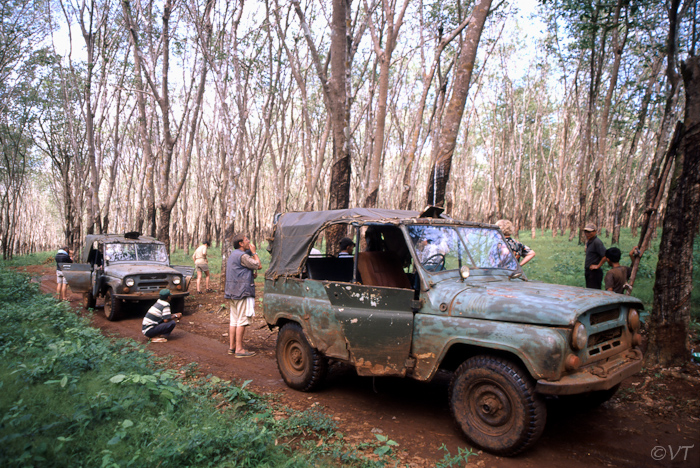 60  Ratanakiri, rubberplantage