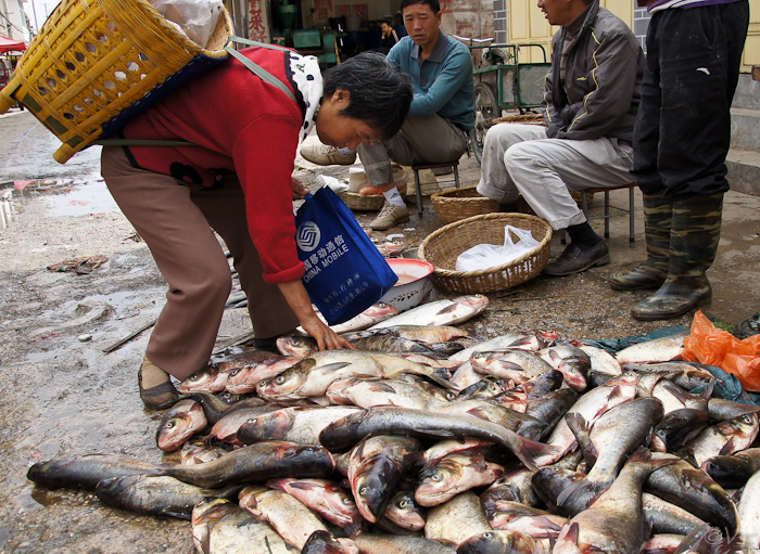 37  markt in Xinhou