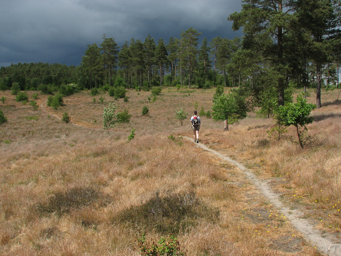 16  de 'rode' wandeling over Mols Bjerge