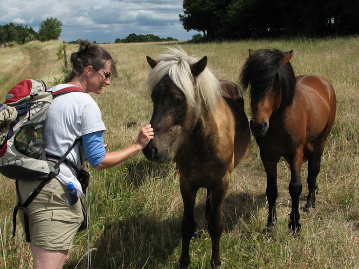 17     Mols Bjerge wandeling