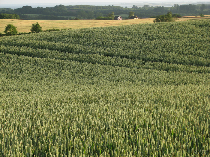 34 Funen-schiereiland