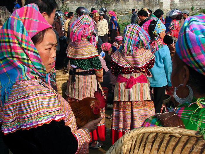 20  Flower Mhong op de veemarkt in Bac Ha