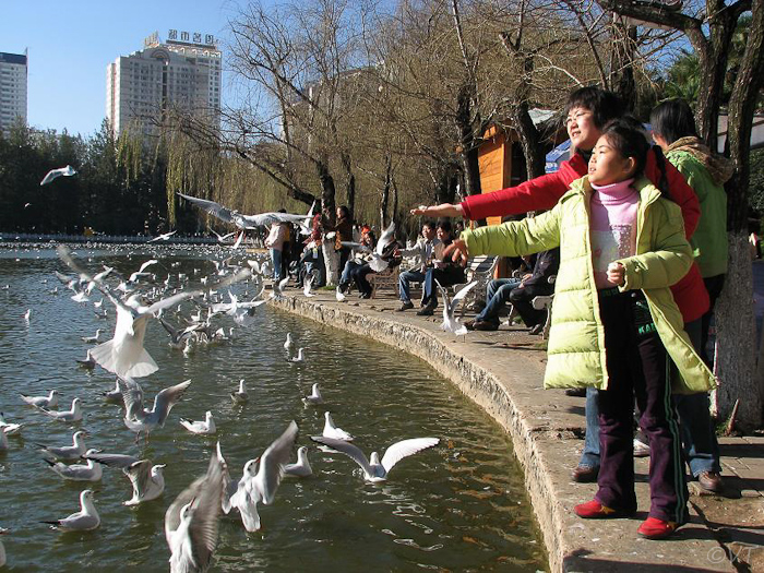 27  zondagmorgen in de winterzon in Kunming