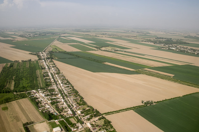 strakke landbouwakkers in het laagland