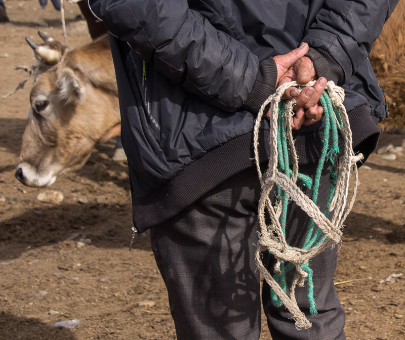 veemarkt bij Karakol