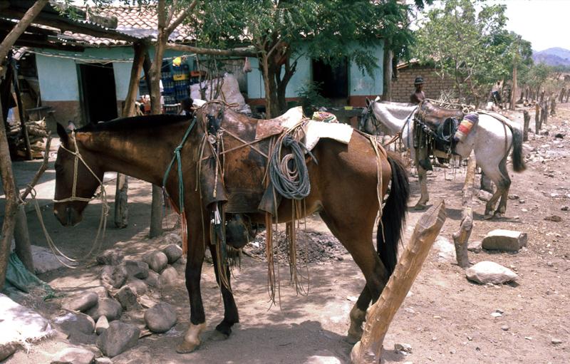 21  Nicaragua, grenscafe