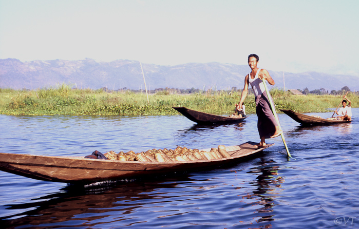 09-Inle lake, been roeier met aalfuiken