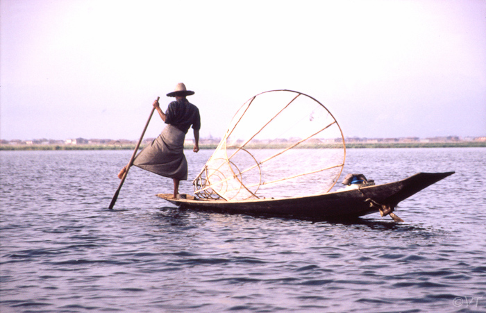 10-Inle lake, been roeier