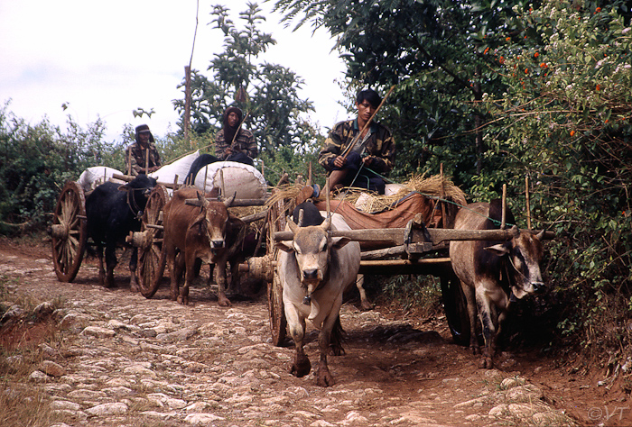 20-Kalaw, op weg naar de markt