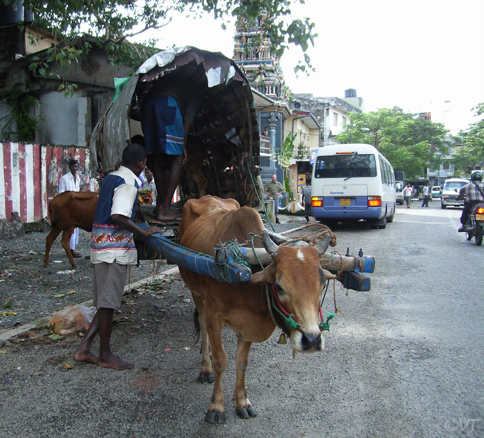 112 voor een hindu-tempel in Colombo