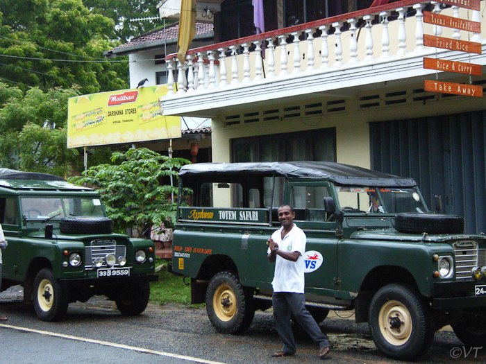 85 Yala NP-safari 