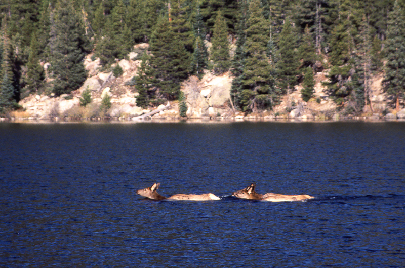 Rocky Mountains, muledeers